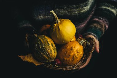 Sonbahar kavramı - sepeti kabak ve sarı yapraklar ile holding eller