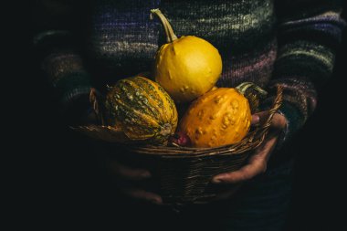 Sonbahar kavramı - sepeti kabak ve sarı yapraklar ile holding eller