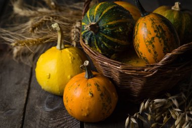 Şükran günü kavramı - süslemeleri ile kabak