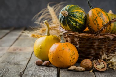 Şükran günü kavramı - süslemeleri ile kabak