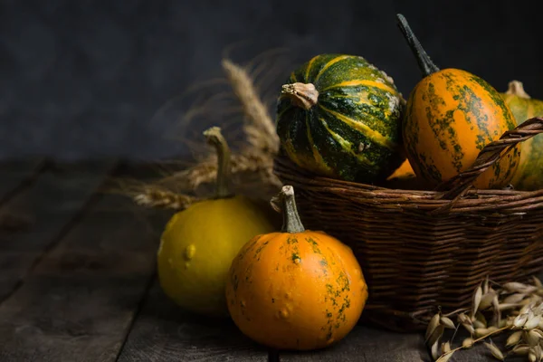 Şükran günü kavramı - süslemeleri ile kabak