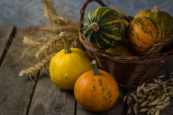 Thanksgiving concept - decoraties met pompoenen — Stockfoto