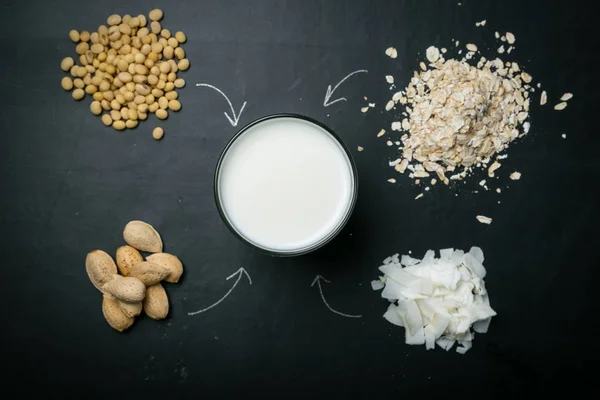 비 유제품 우유 개념 — 스톡 사진