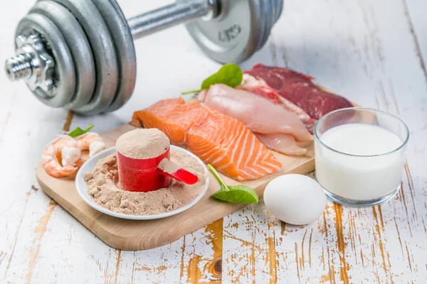 Selection of animal origin protein sources with powder protein — Stock Photo, Image
