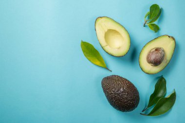 Parlak arka plan üzerinde avokado dilimleri. Bütün ve yarısı yaprakları ile. Tasarım öğesi için ürün etiket