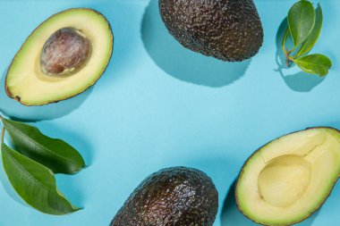 Parlak arka plan üzerinde avokado dilimleri. Bütün ve yarısı yaprakları ile. Tasarım öğesi için ürün etiket