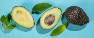 Parlak arka plan üzerinde avokado dilimleri. Bütün ve yarısı yaprakları ile. Tasarım öğesi için ürün etiket