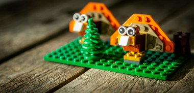 Şükran Günü gemisi - Tahta arka planda lego hindisi