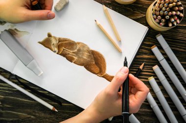 Hobi konsepti - işaretleyicilerle yapılmış ayı eskizi