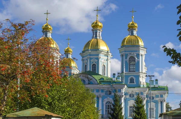 St Nicholas Katedrali, St. Petersburg kubbeleri