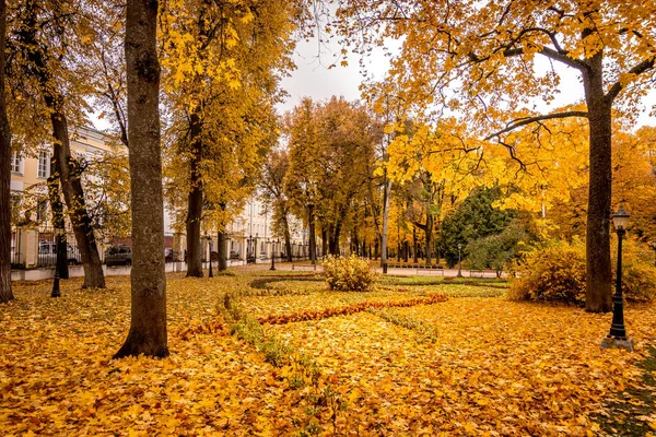 Laubfall im Park im Herbst mit Ahornen. — Stockfoto