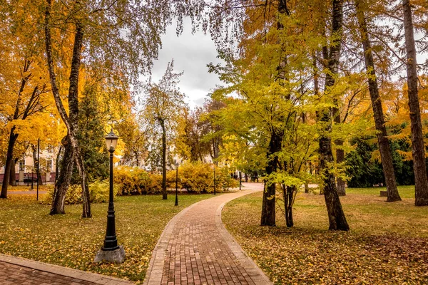 Folha cair no parque no outono com maples . — Fotografia de Stock