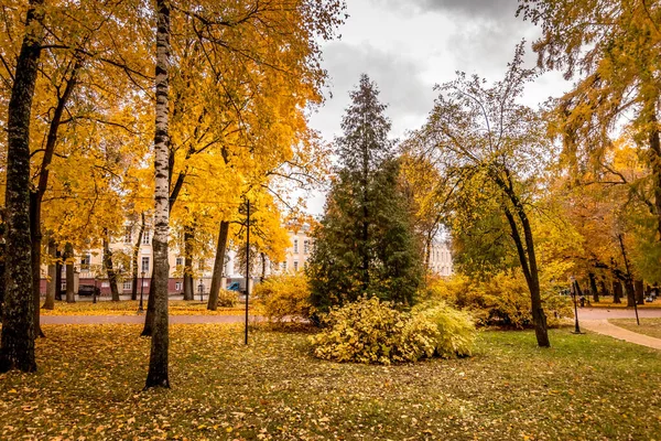 Caída de hojas en el parque en otoño con arces . — Foto de Stock