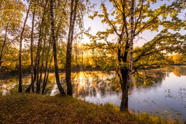 Güneşli bir sonbahar sabahı huş ağaçlarıyla gölün yanında gün doğumu. — Stok fotoğraf