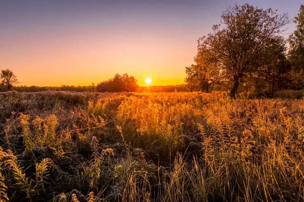 Salida del sol en un campo cubierto de heladas en la madrugada de otoño . — Foto de Stock