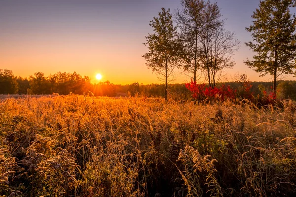 Escena de la salida del sol en un campo cubierto de heladas en la madrugada de otoño . — Foto de Stock