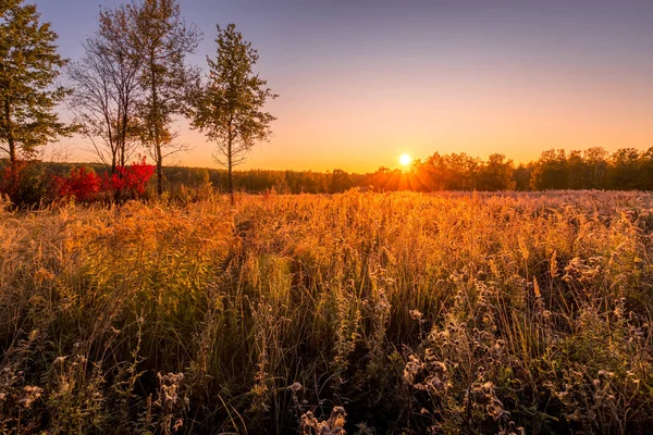 Cena do nascer do sol em um campo coberto com geada no início da manhã de outono . — Fotografia de Stock
