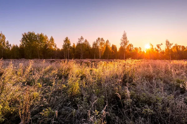 Nascer do sol em um campo coberto com geada no início da manhã de outono . — Fotografia de Stock