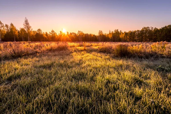 이른 가을 아침 서리가 덮인 들판에서 일출 광경. — 스톡 사진