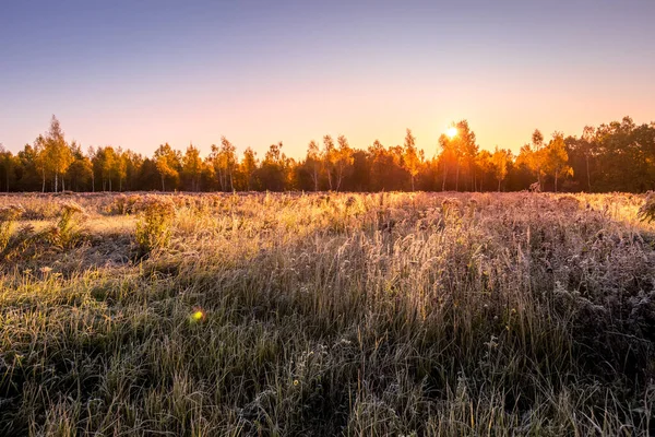 Scena wschodu słońca na polu pokrytym mrozem wczesną jesienią rano. — Zdjęcie stockowe