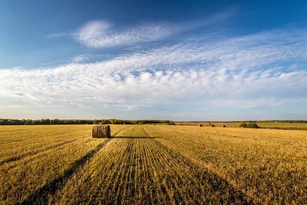 Haystacks on the field in autumn season with cloudy sky. — Stok fotoğraf