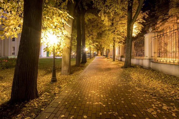 Nachtpark im Herbst mit abgefallenen gelben Blättern. — Stockfoto