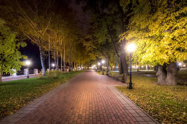 Parque noturno no outono com folhas amarelas caídas . — Fotografia de Stock