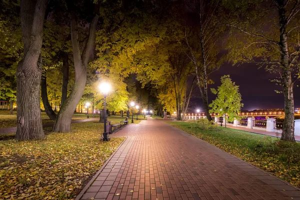 Nachtpark in de herfst met omgevallen gele bladeren. — Stockfoto