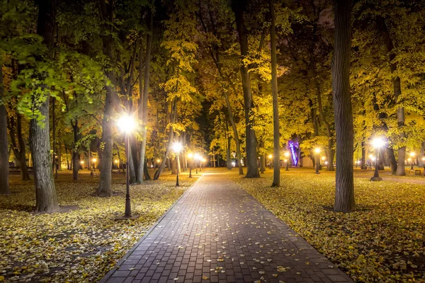 Parque nocturno en otoño con hojas amarillas caídas . — Foto de Stock