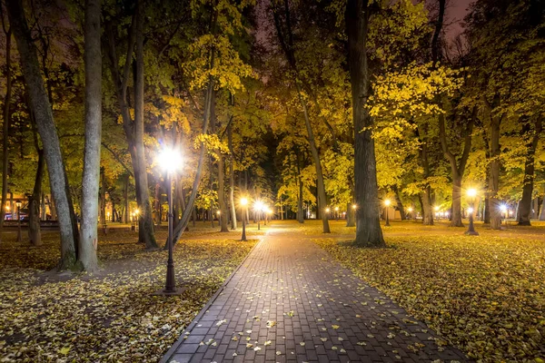 Parque nocturno en otoño con hojas amarillas caídas . — Foto de Stock