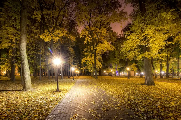Parque nocturno en otoño con hojas amarillas caídas . — Foto de Stock