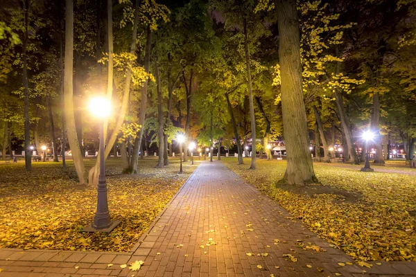 Noční park na podzim s padajícími žlutými listy. — Stock fotografie