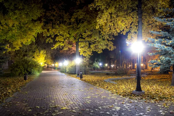 Parque nocturno en otoño con hojas amarillas caídas . — Foto de Stock