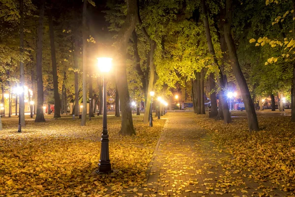 Parque noturno no outono com folhas amarelas caídas . — Fotografia de Stock