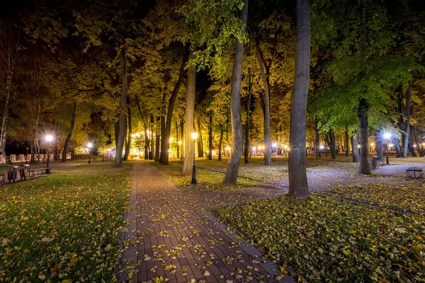 Нічний парк восени з опалим жовтим листям . — стокове фото