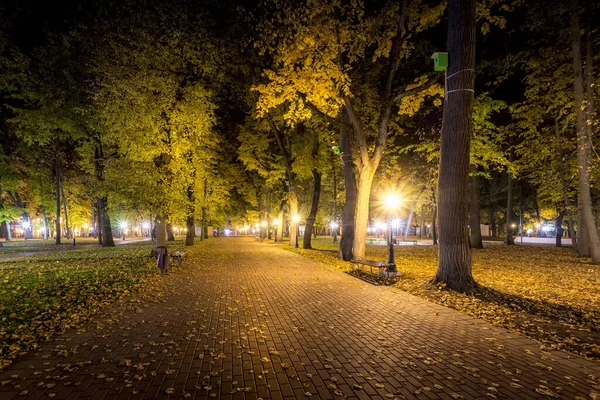秋天的夜晚公园，黄叶飘落. — 图库照片