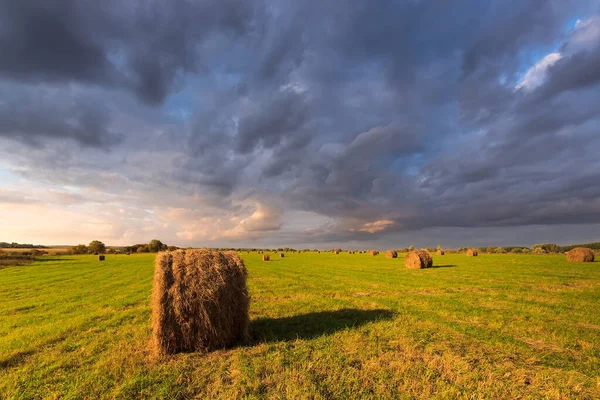 Field with golden haystacks at sunset with a cloudy sky background. — Stock Photo, Image