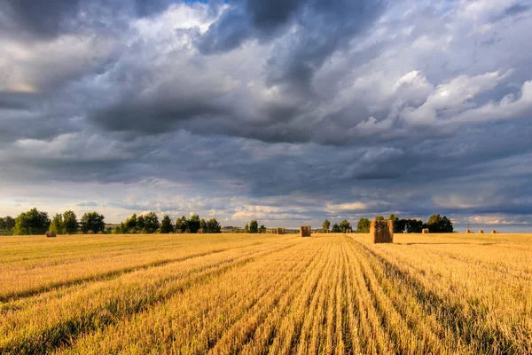 Haystacks on the field in Autumn season with cloudy sky. — Zdjęcie stockowe