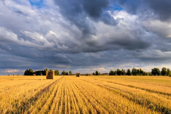 Haystacks on the field in Autumn season with cloudy sky. — Zdjęcie stockowe