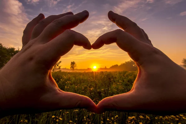 Mains en forme de cœur contre le lever du soleil sur le champ avec des fleurs . — Photo