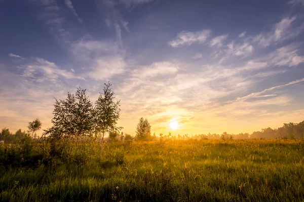 Sunrise on a field in summer morning with fog. — Stock Photo, Image