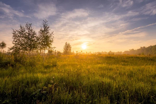 Salida del sol en un campo en la mañana de verano con niebla . — Foto de Stock