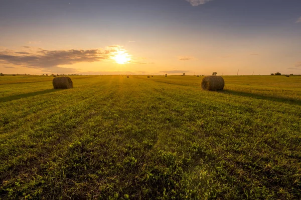 Un champ avec des meules de foin sur un coucher de soleil sur une soirée d'été . — Photo