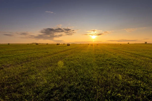 Un campo con pagliai su un tramonto in una sera d'estate . — Foto Stock