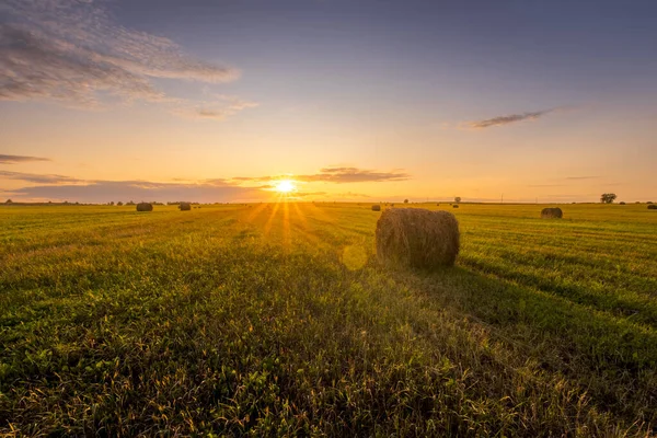 Un campo con pajar en una puesta de sol en una noche de verano . — Foto de Stock