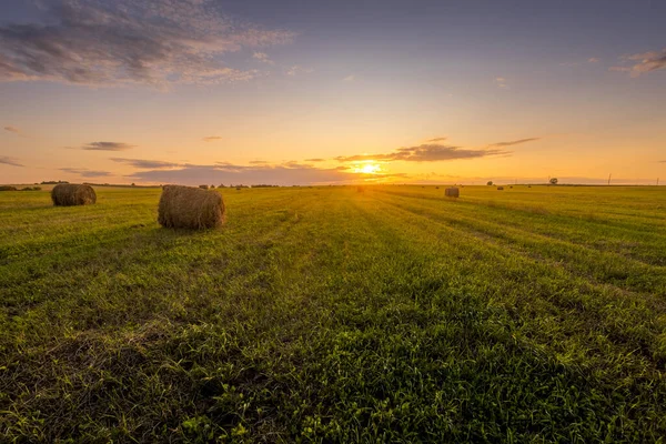 Bir yaz akşamı gün batımında samanlıklarla dolu bir tarla.. — Stok fotoğraf