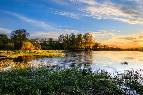 Zachód słońca nad rzeką z wierzbą. — Zdjęcie stockowe