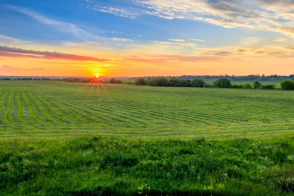 Zonsondergang op cultuurgrond op het platteland in de zomer. — Stockfoto