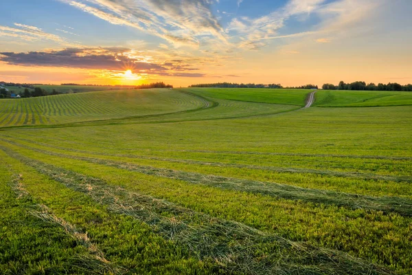 Sunrise at cultivated land in the countryside on a summer. — Stock Photo, Image
