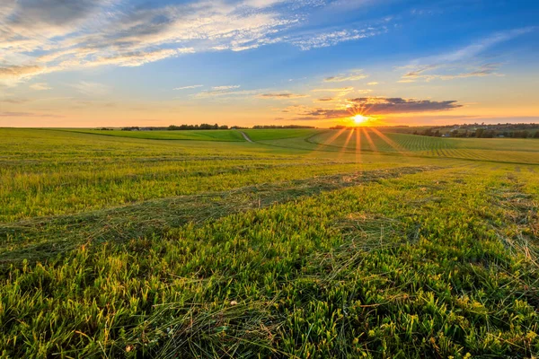 Pôr do sol em terras cultivadas no campo em um verão . — Fotografia de Stock